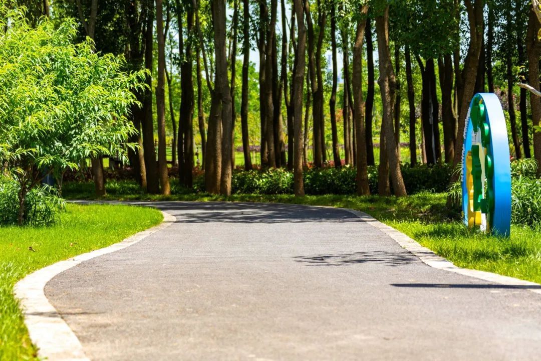 "半马"森林步道,预计将于明年年初竣工!