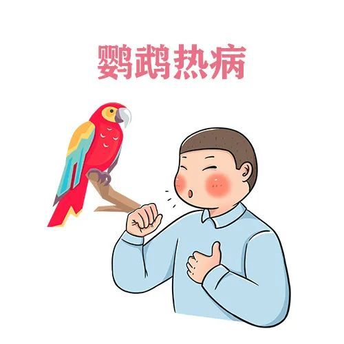 鹦鹉热病例图片