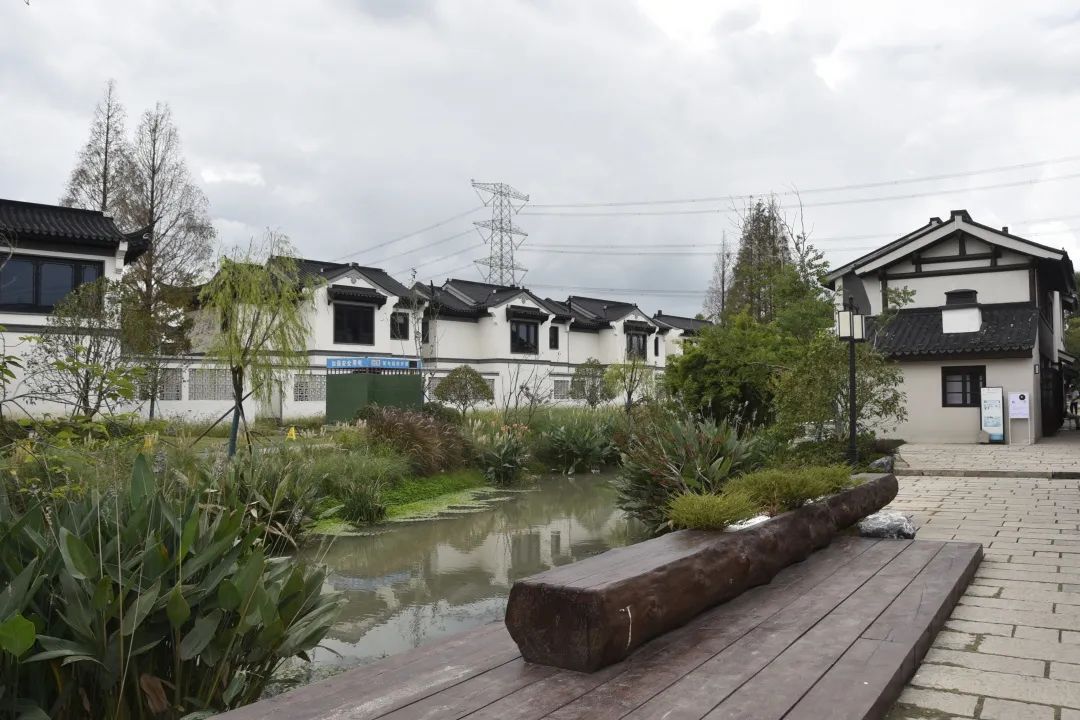 讲好示范村故事丨青浦章堰村:千年古村在新旧融合中众创未来