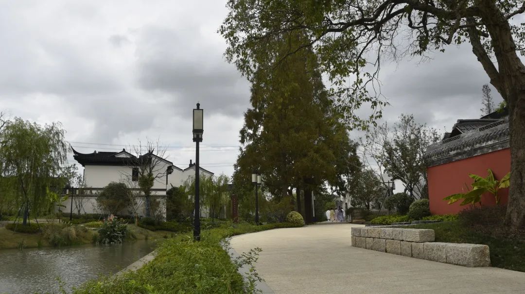 讲好示范村故事丨青浦章堰村:千年古村在新旧融合中众创未来