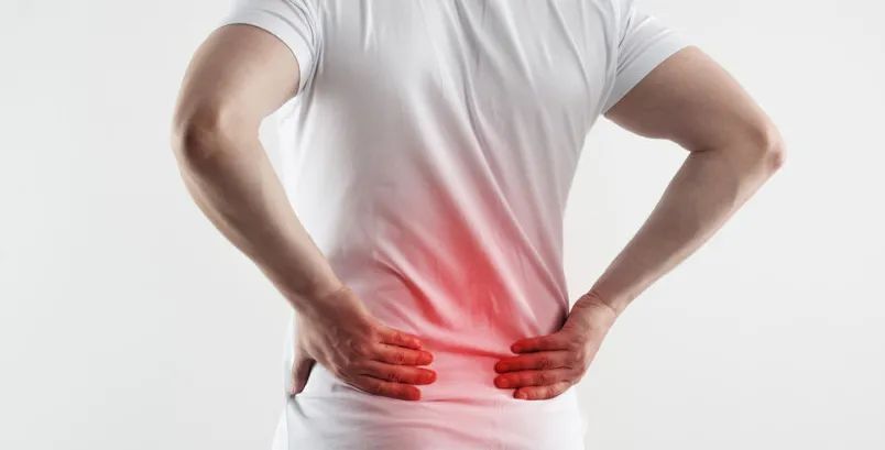 简单几招缓解腰痛 躺着也能做 上观新闻