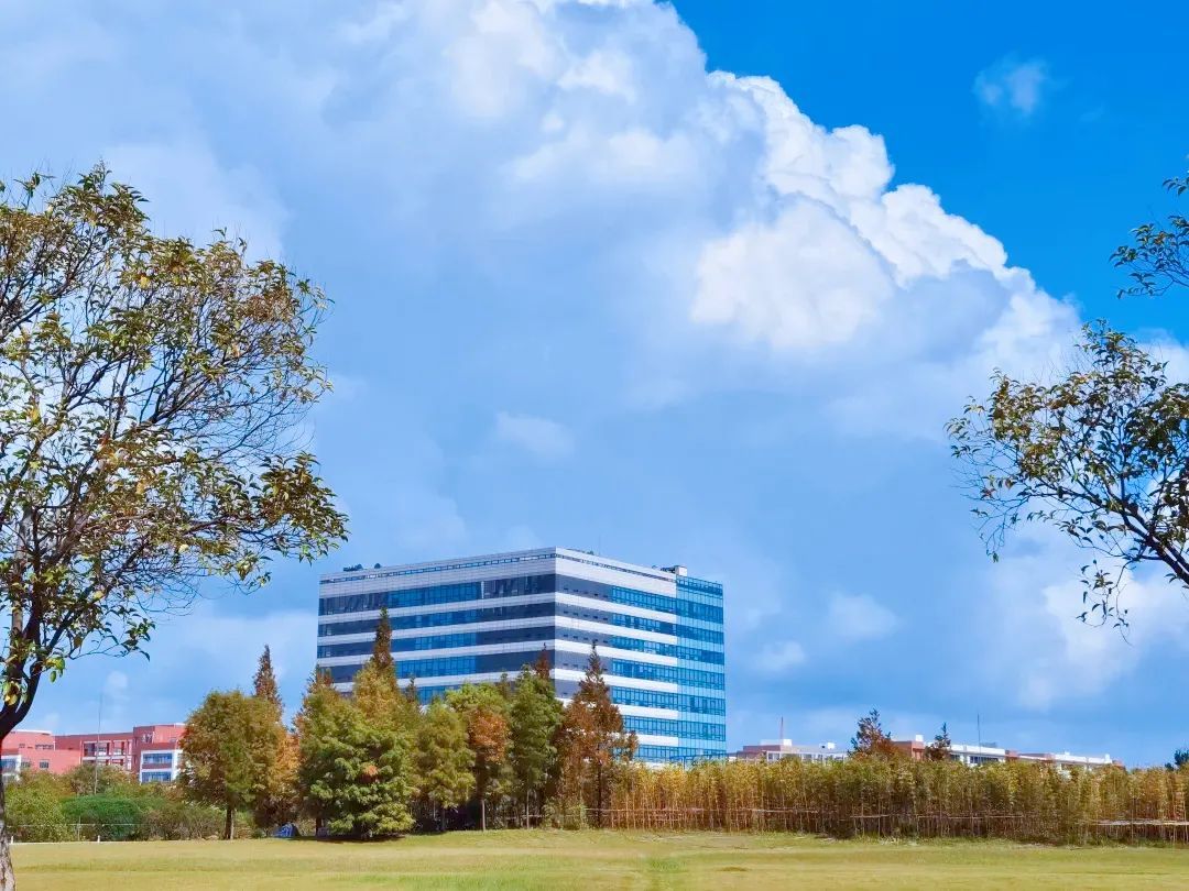 申城高校秋景宜人,你最爱哪个场景?