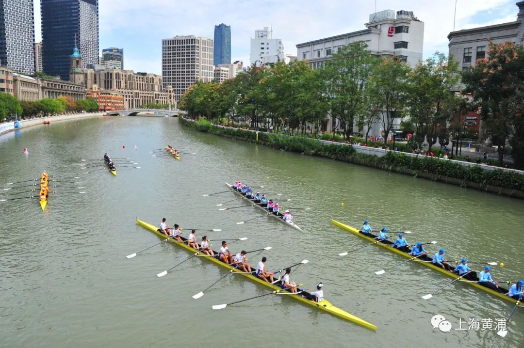 图说黄浦|看苏州河"百舸争流",上海赛艇公开赛成为又一道风景线