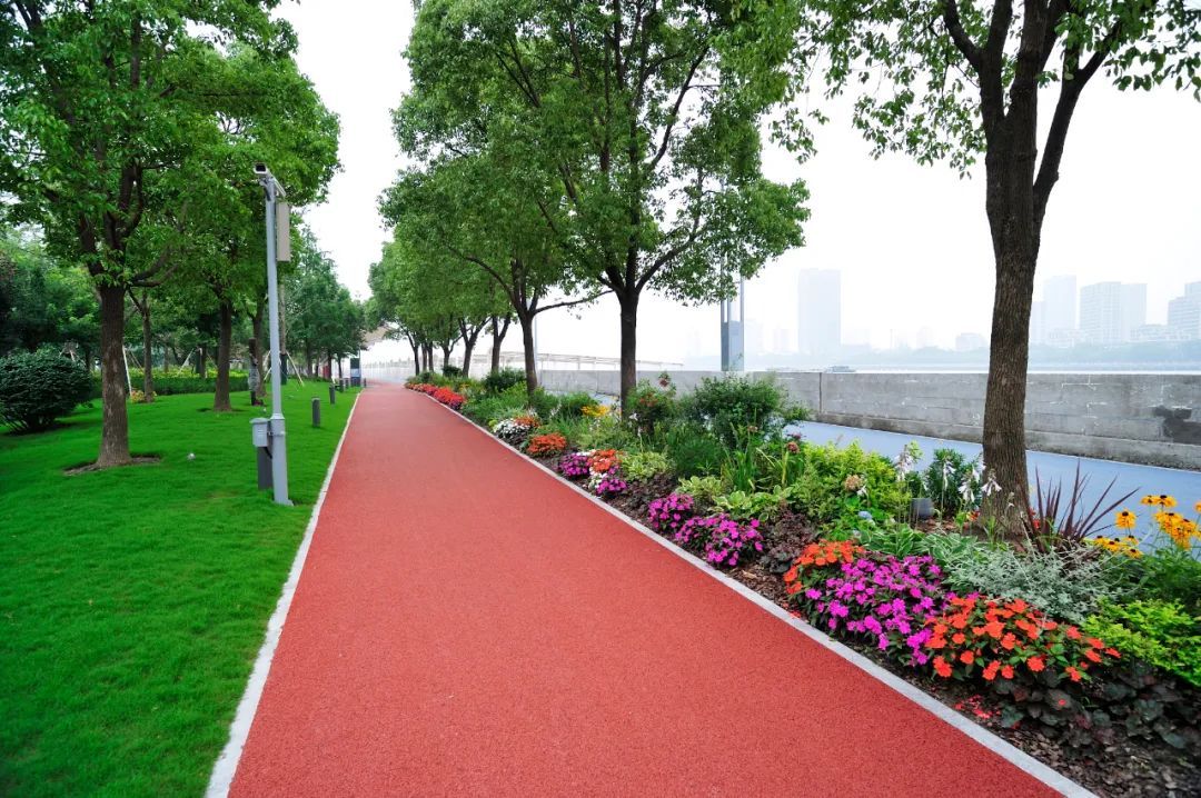 这些风景秀丽的绿道,一起去瞧瞧吧!