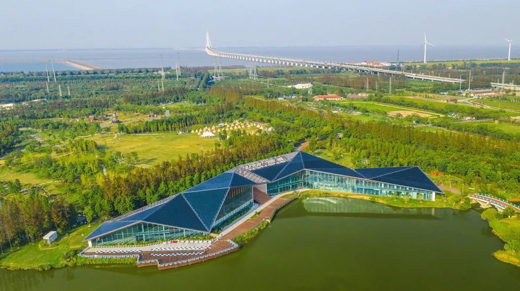 今日上海柑桔节在长兴岛开幕,首条柑桔科普研学游览线路正式推出