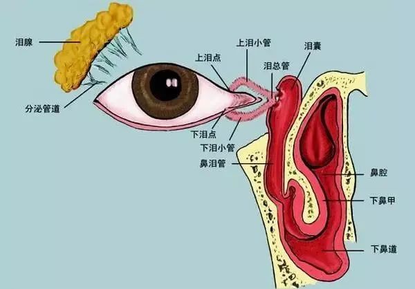 在长宁的这家医院用这种方法可免一刀之苦!