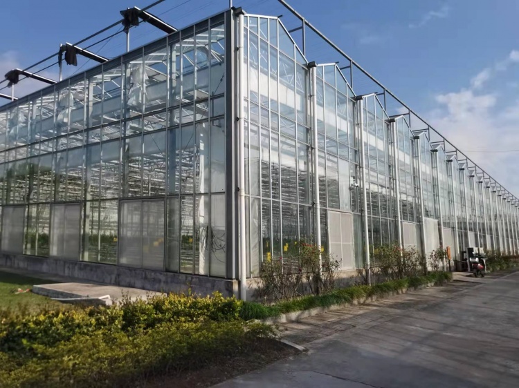 科技大棚防火又保暖 助农冬季蔬菜生产