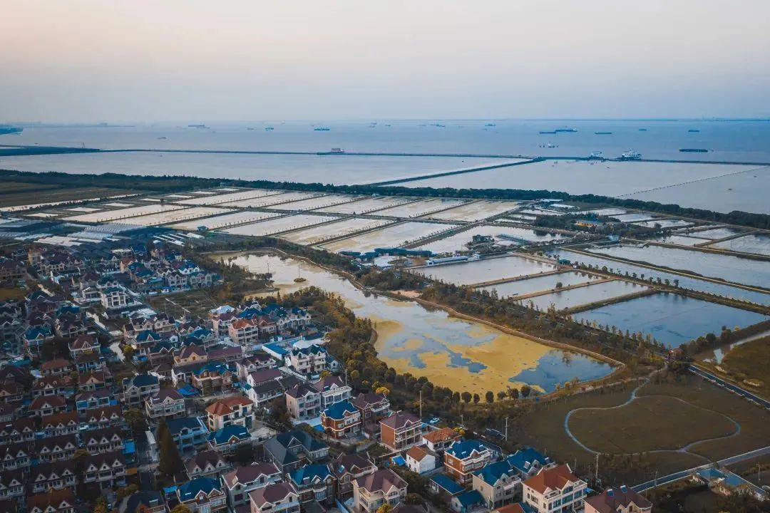 宝山区罗泾镇海星村