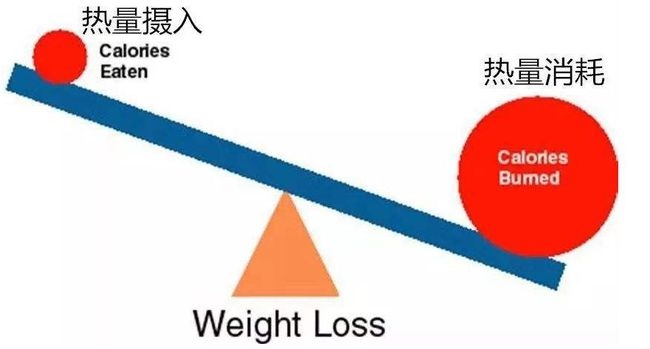 减肥的原理:热量消耗>热量摄入  热量摄入:通过饮食,吃进去(并消化