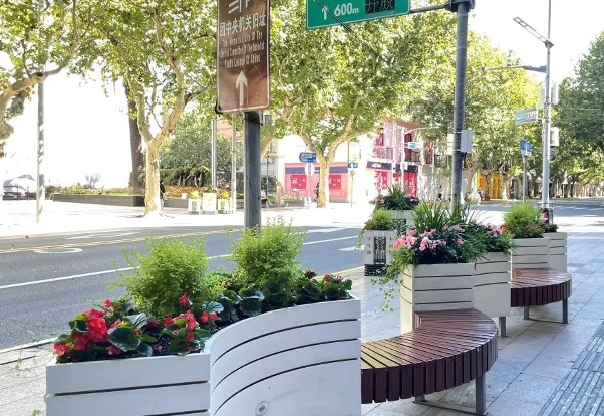 进博会开幕在即!绽放在道路,主题景点,花坛花境的限定美景来了→_上观