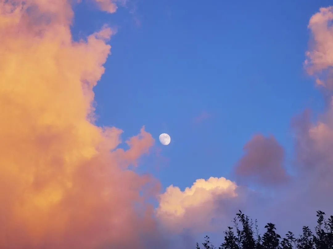 秋日的黄昏是浪漫的  晚 · 霞  夕阳辉煌地照着  静 · 景  校园里的