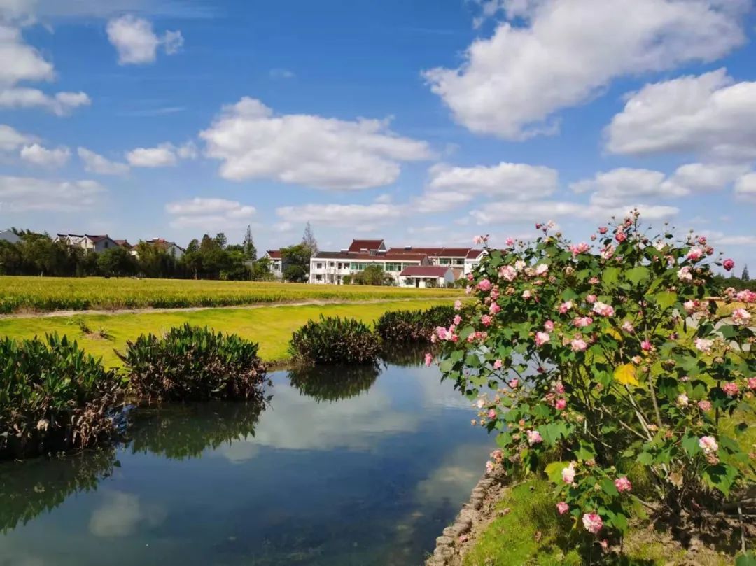 晴好天气即将终结,今夜有中到大雨,"断崖式"降温又要来了!_上观新闻