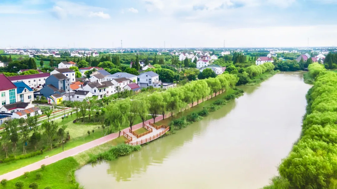 金山卫古城新镇美丽