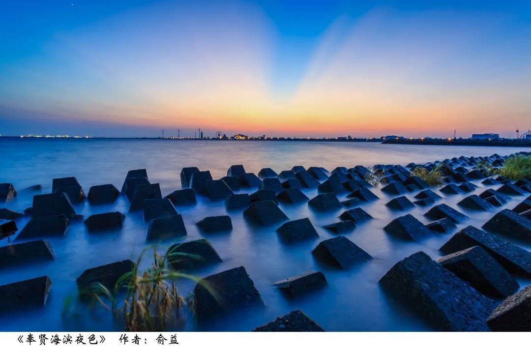 春华秋实!70幅摄影作品,用照片记录奉贤区撤县设区20周年_上观新闻