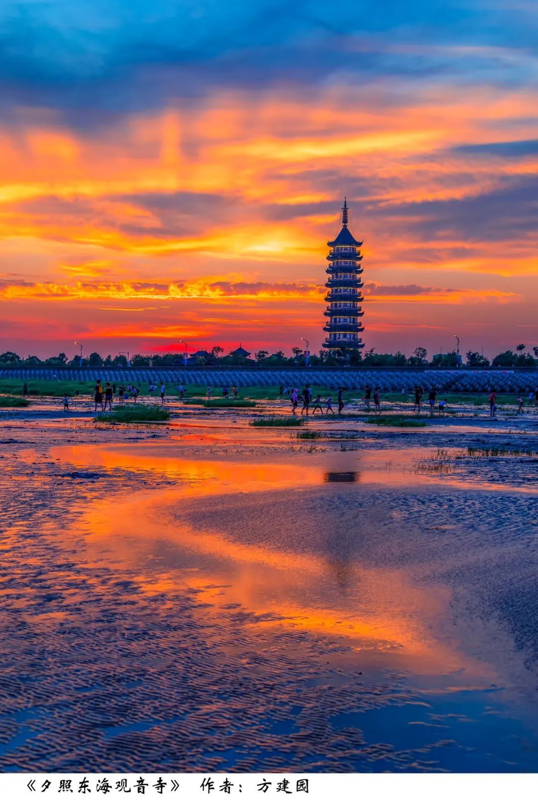 春华秋实!70幅摄影作品,用照片记录奉贤区撤县设区20周年_上观新闻