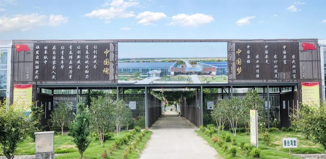 讲好示范村故事丨"新叶模式"升级,"腾笼换鸟"致富,奉贤新叶村的日子是