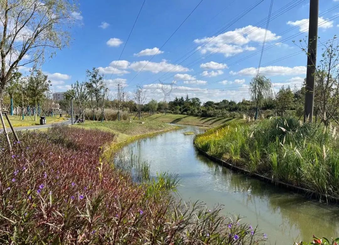 西渡这几个家门口的公园你去过几个?