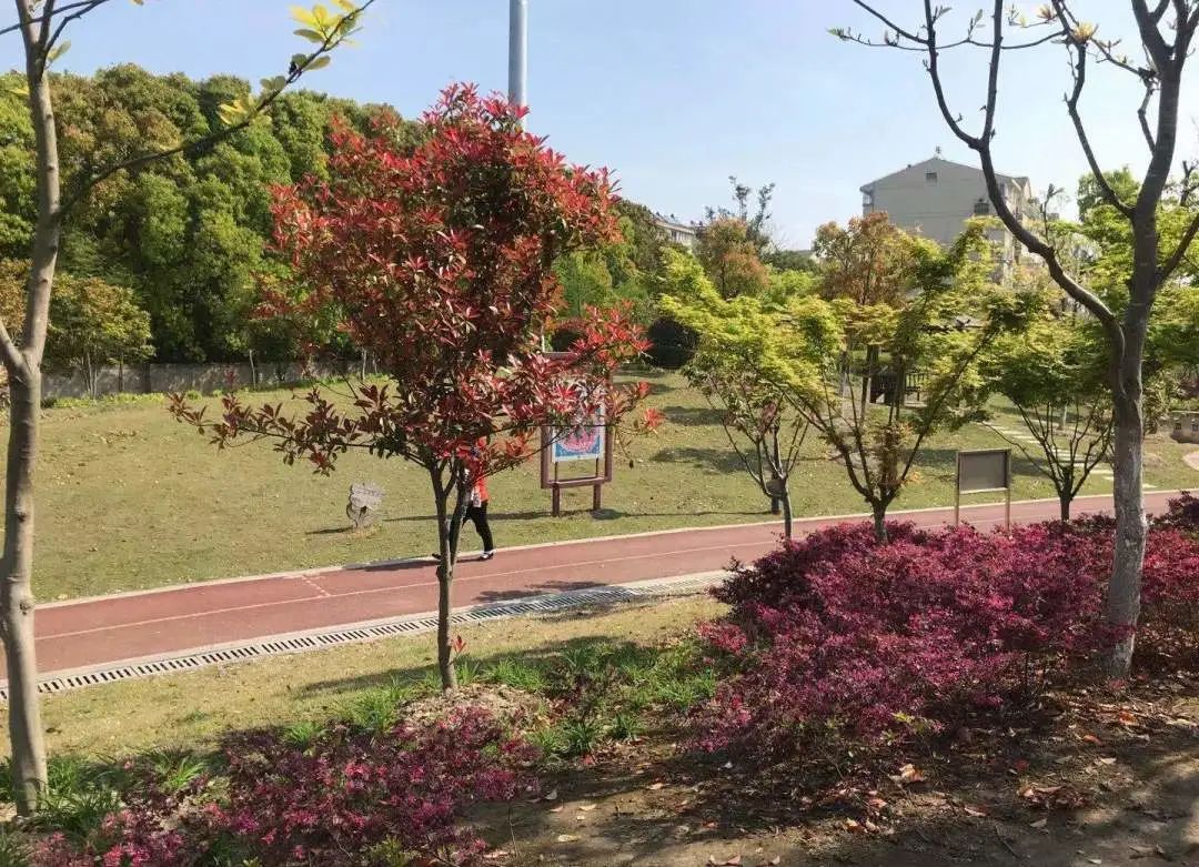 西渡这几个家门口的公园你去过几个?