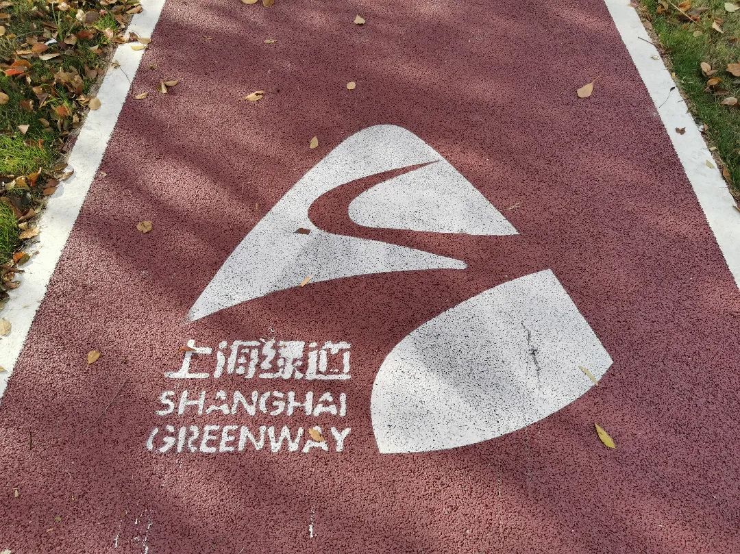 宝山生态步道路线图图片