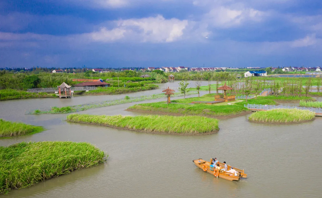 未来,金山这里将有"新风景"!