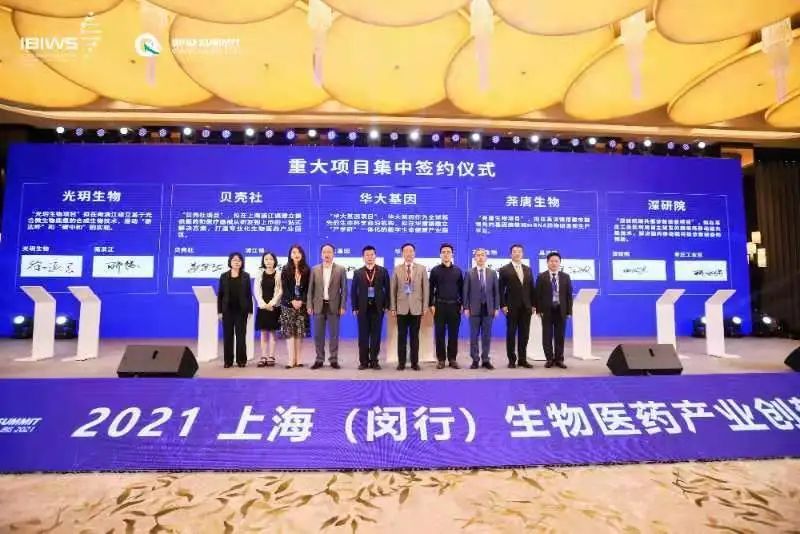 闵行10月招商成绩单发榜看看哪些街镇、园区表现亮眼