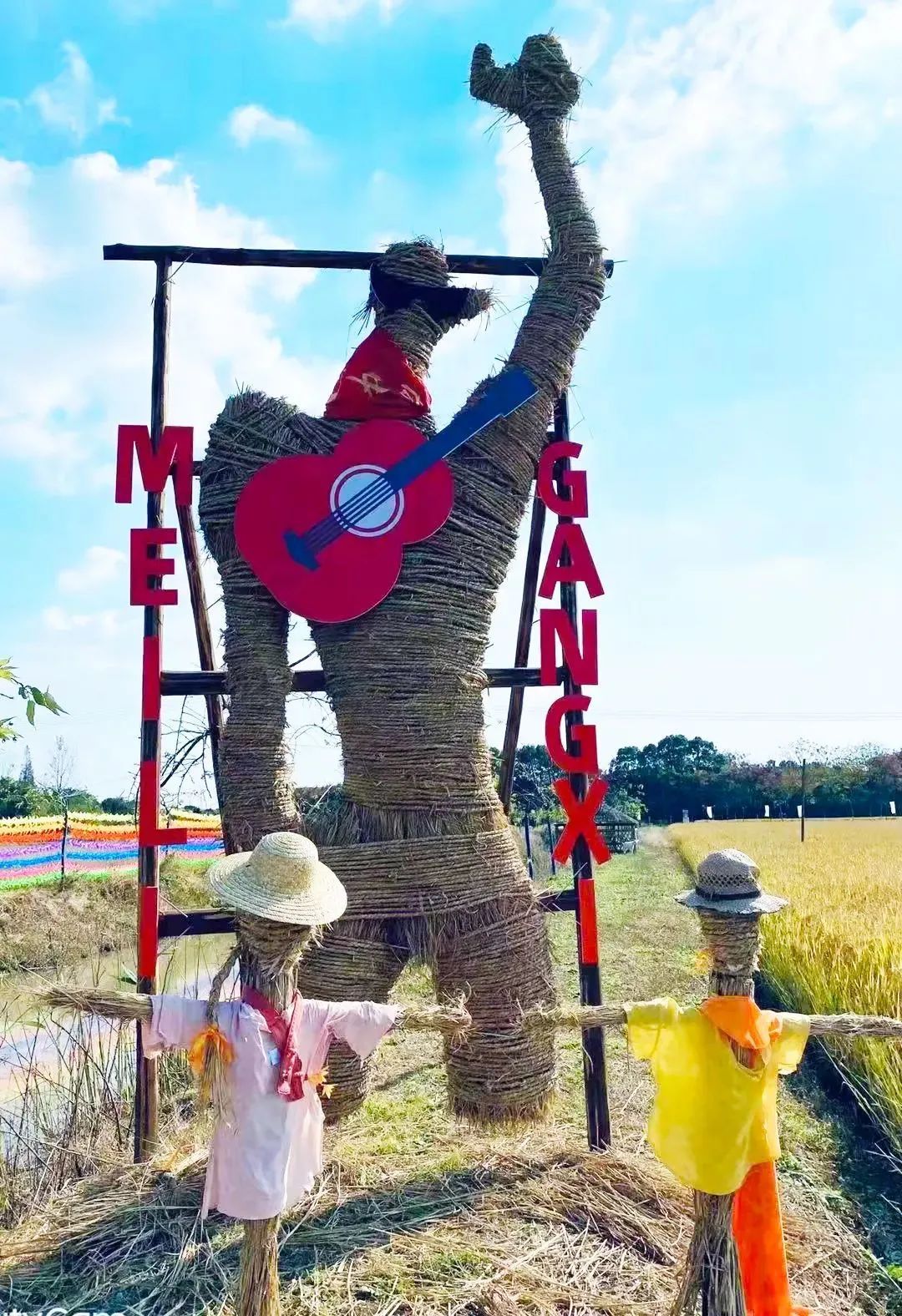 在崇明民宿金色稻田裡發呆, 在香朵開心農場喝上一杯稻田咖啡, 那