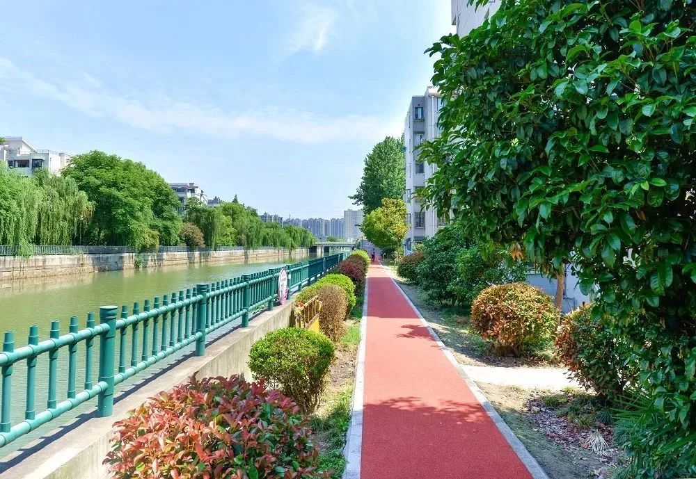 富长路绿地步道