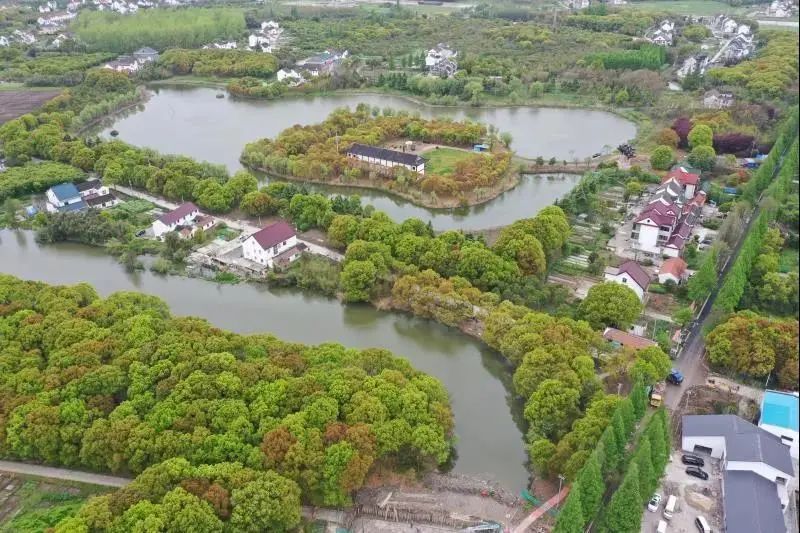 位于上海市金山区张堰镇东北部的 乡村振兴示范村——百家村 寻找一味