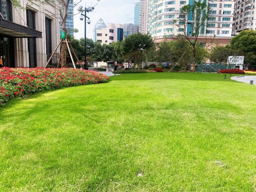 打开封闭边界,变街心花园.城投大厦附属绿地开放共享