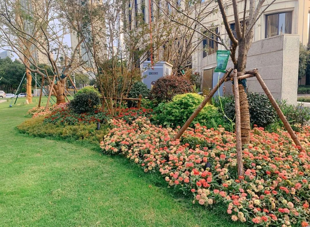 打开封闭边界,变街心花园.城投大厦附属绿地开放共享