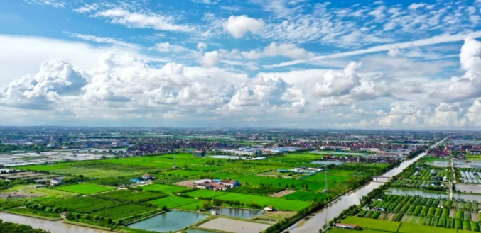 解锁四团镇美丽乡村的"颜值"密码,一起来看看ta们的"小心思"