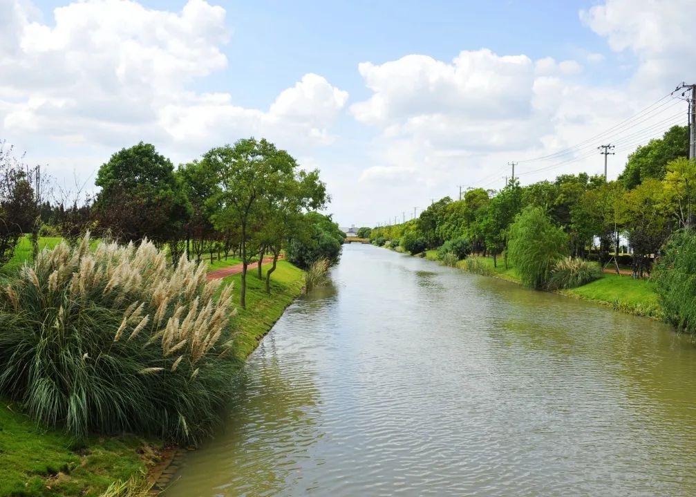 宝山全区943条河道水质"体检"实现全覆盖