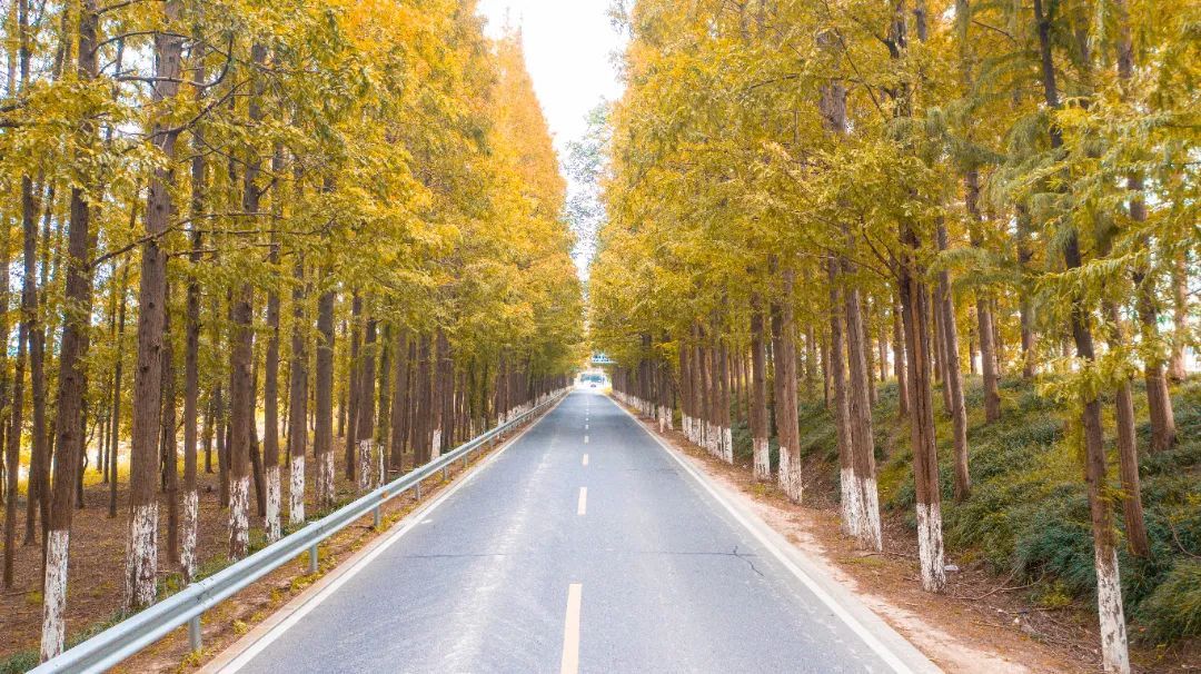 塘下公路恢复通车赏秋正当时附美图