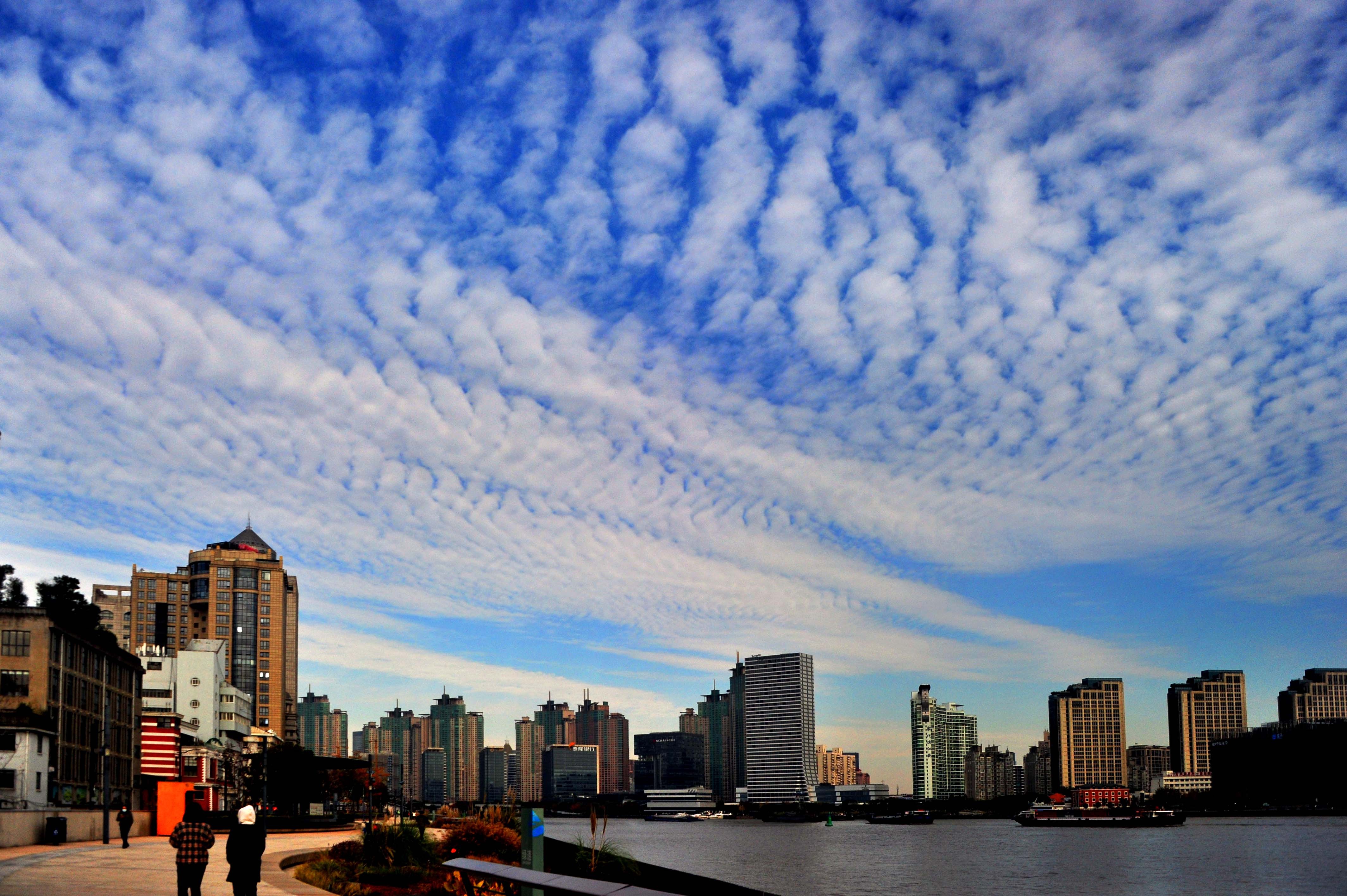 街拍黄浦丨高积云点缀魔都天际线,上演云端视觉大戏