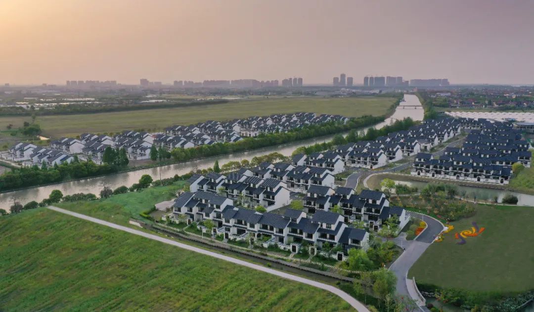 聚焦区七次党代会丨蓝图一绘到底,实干方显担当!_上观新闻