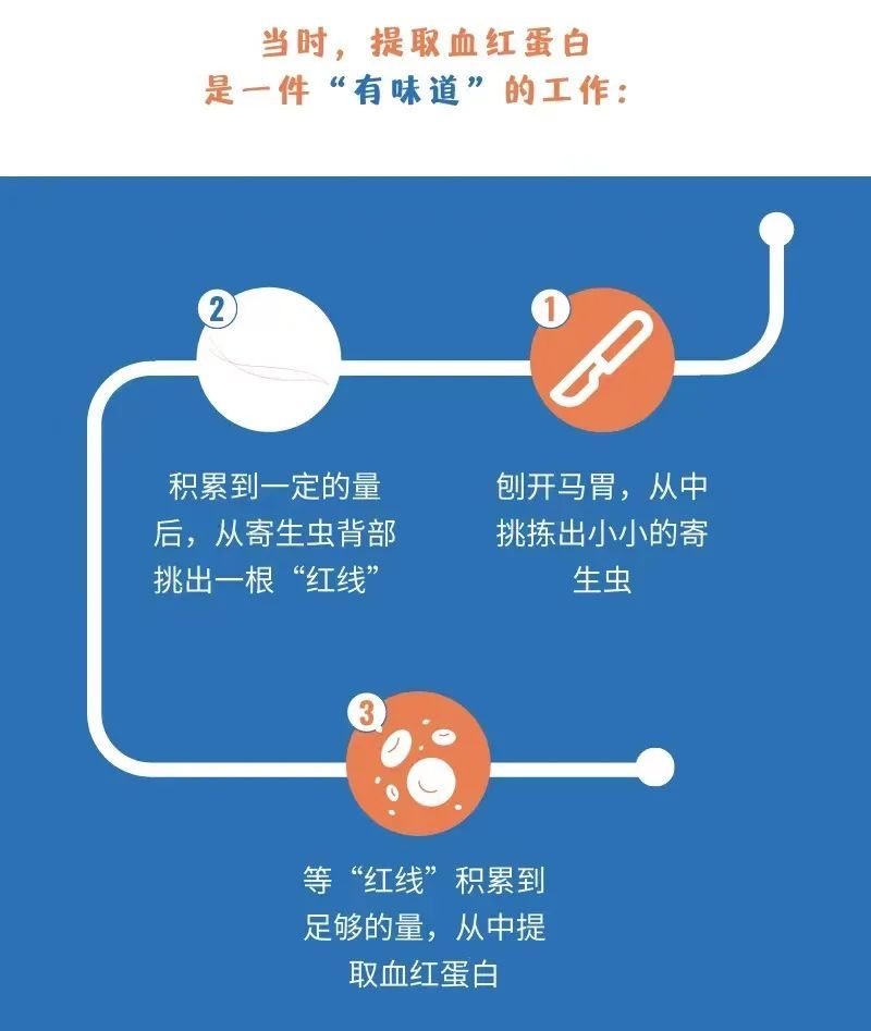 感谢同学们的“做不了”之恩,成就了王应睐在血红蛋白研究方面的斐然成绩