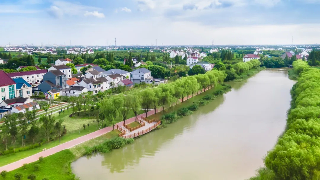 金山这个镇如何换"新颜",今天这场访谈将为你揭晓!_上观新闻