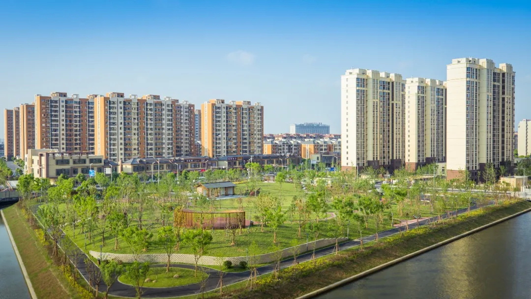 金山这个镇如何换"新颜",今天这场访谈将为你揭晓!_上观新闻