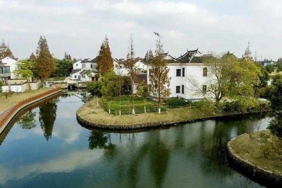 沪郊农民集中居住"新地标"相继出现,有您心仪的江南乡村新风貌吗?_上