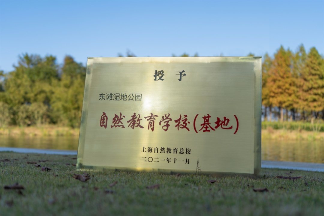 东滩湿地公园获评第二批"自然教育学校(基地)"