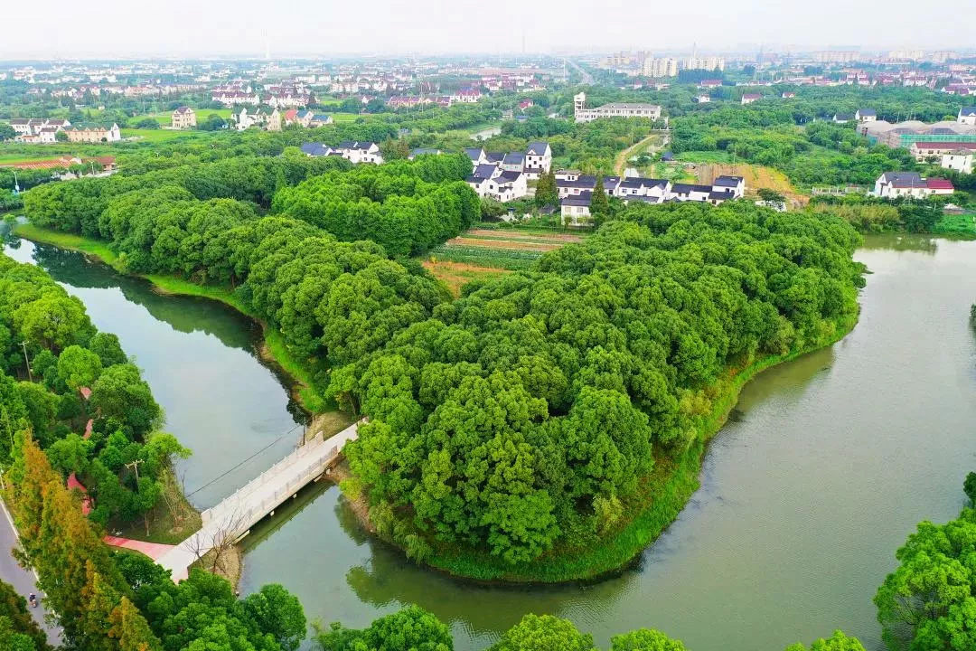 未来,张堰镇蓄势绽放!