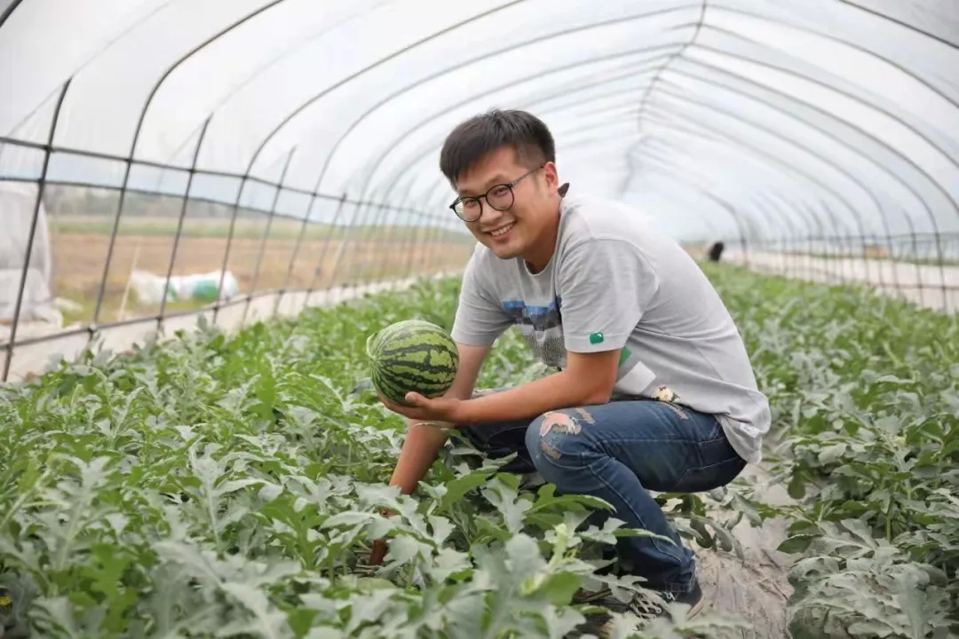 金山90后"新农民"是如何打开新米的财富之路的?