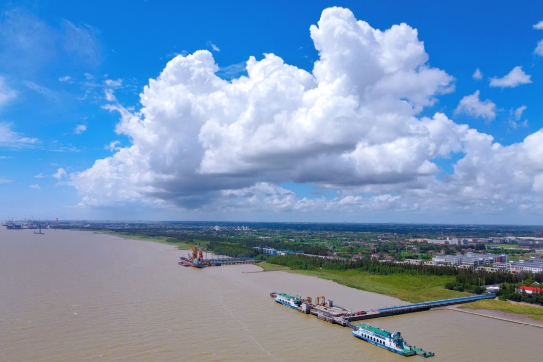 这个崇明人用影像记录新河的小美好