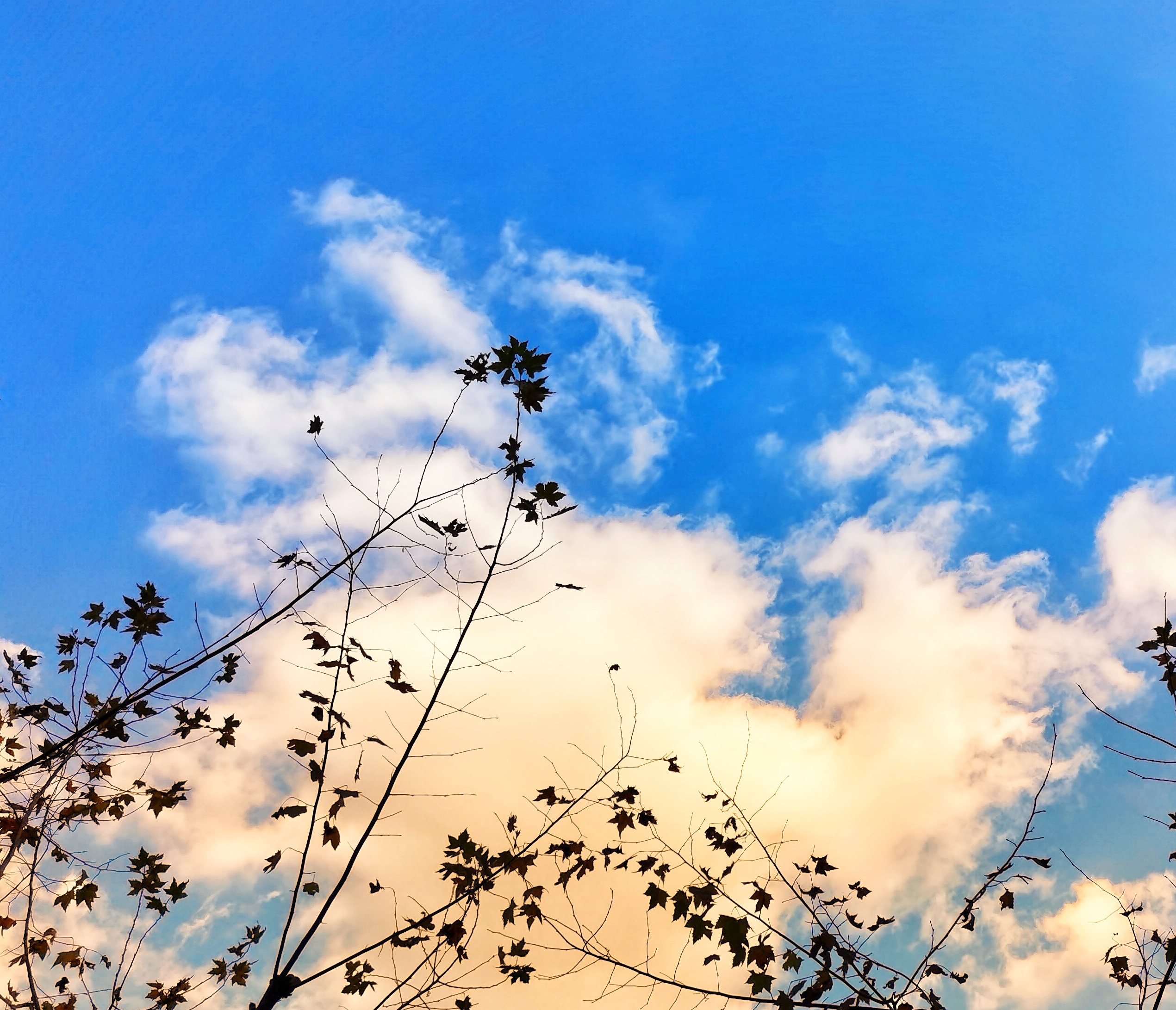 本周天气晴好,明起小幅降温