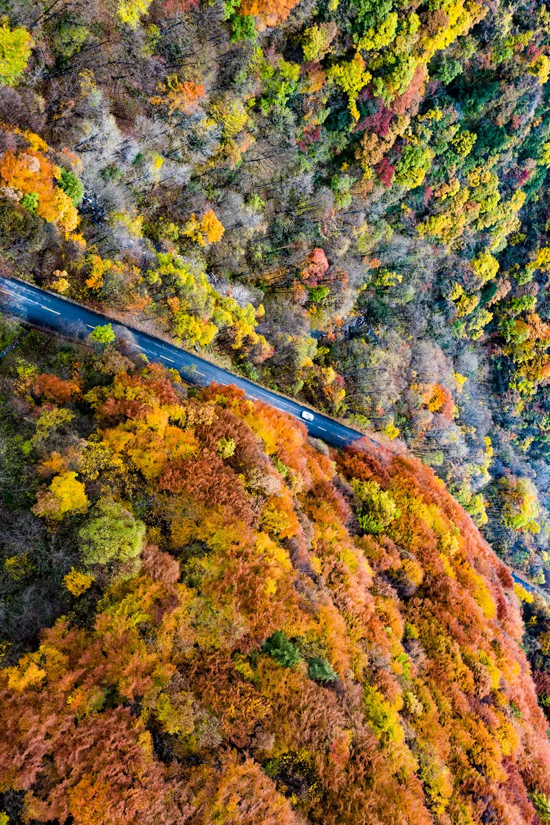 中国最美的道路图片