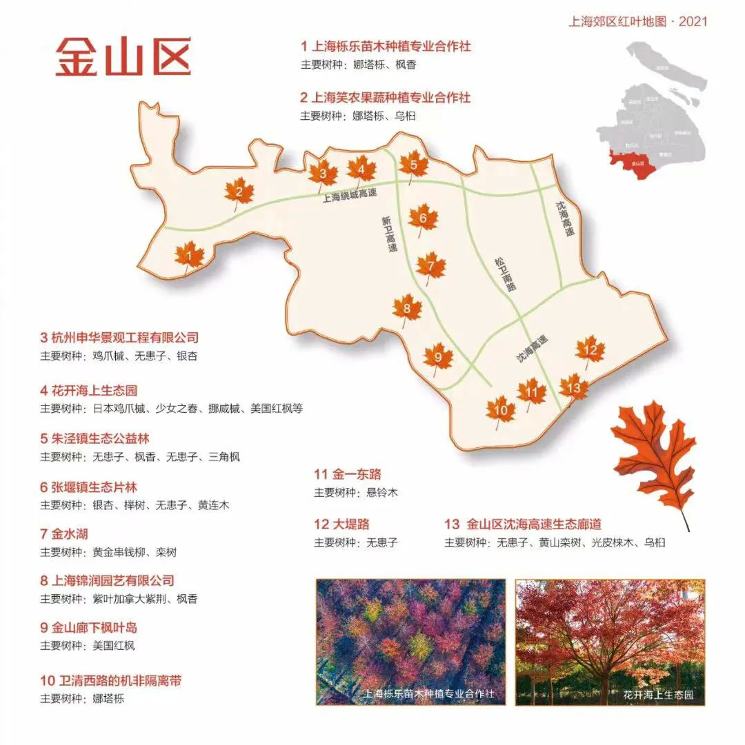 金山此刻美如画!