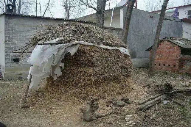 室外草堆,科学堆放