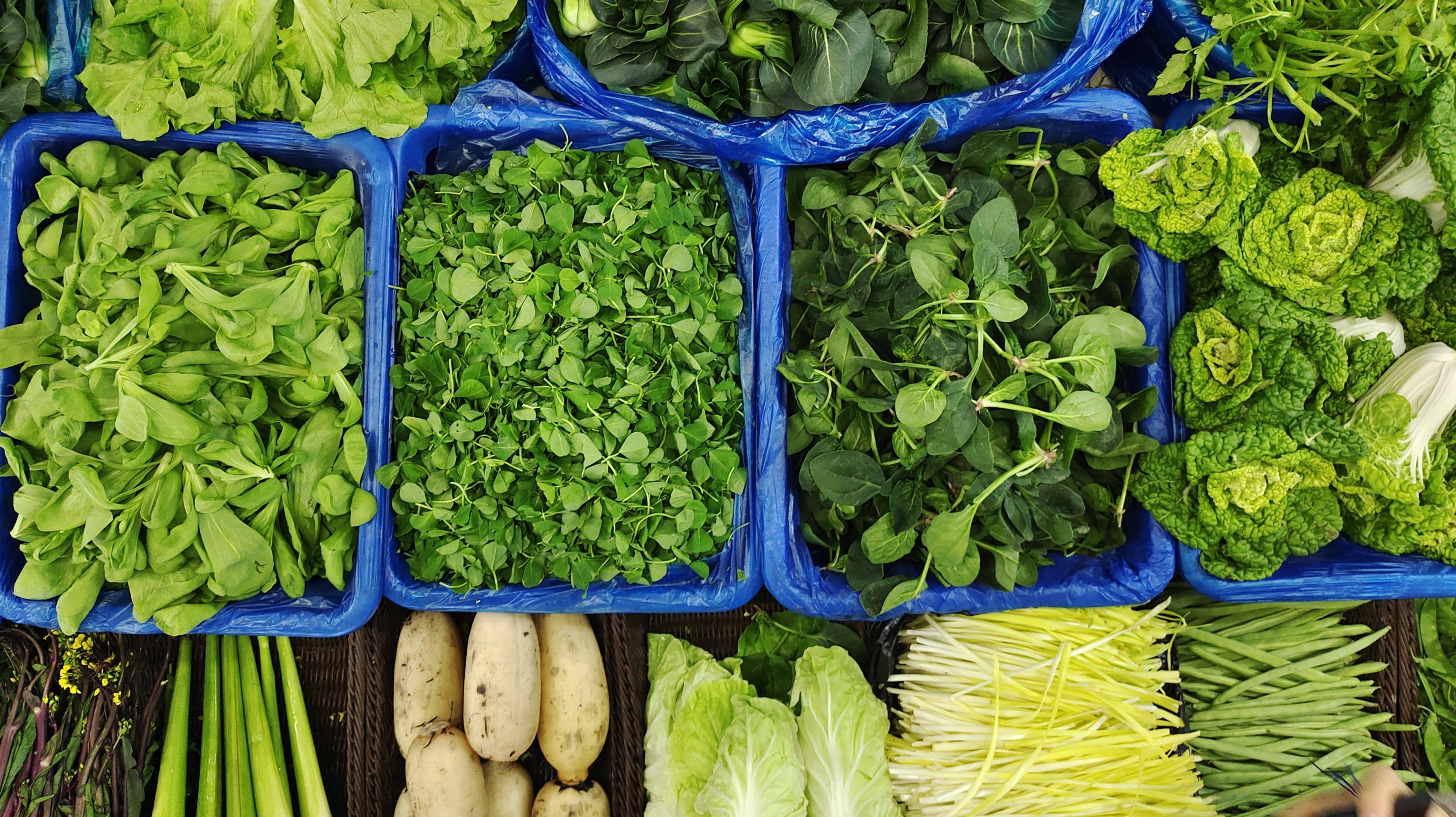 视频丨又甜又糯的霜打菜上市啦