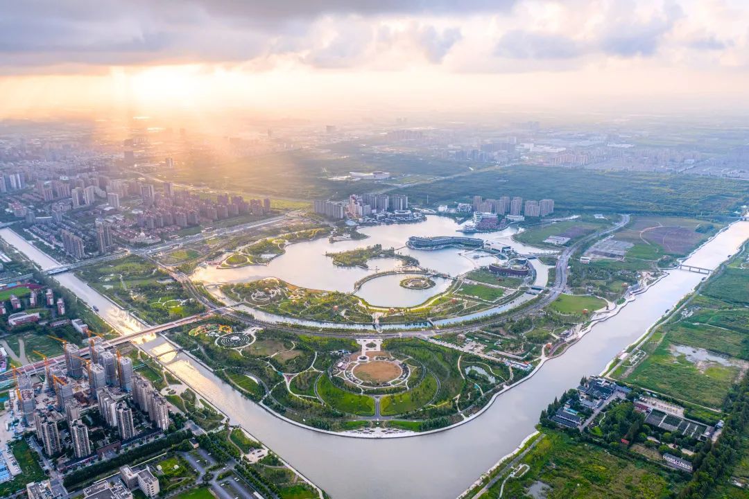 微博热搜!厉害了,我的奉贤新城