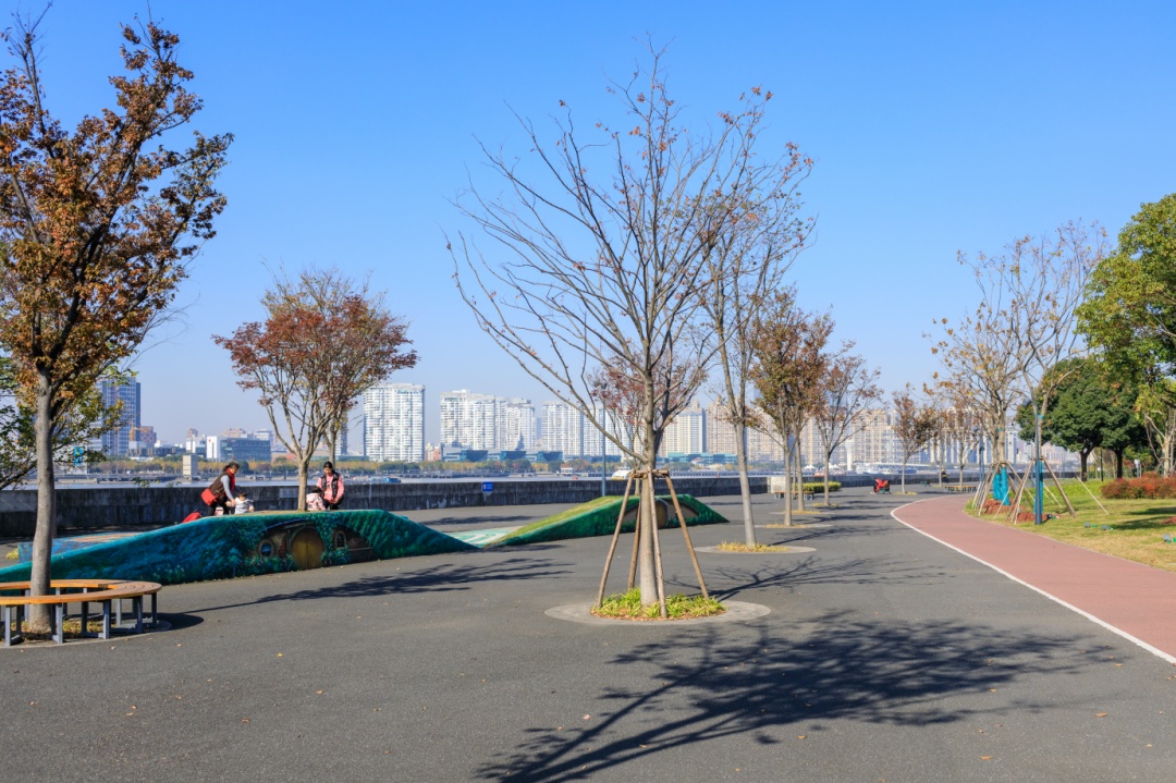 滨江大道公园 老白渡滨江绿地 南栈南码头滨江绿地 来源:上海发布